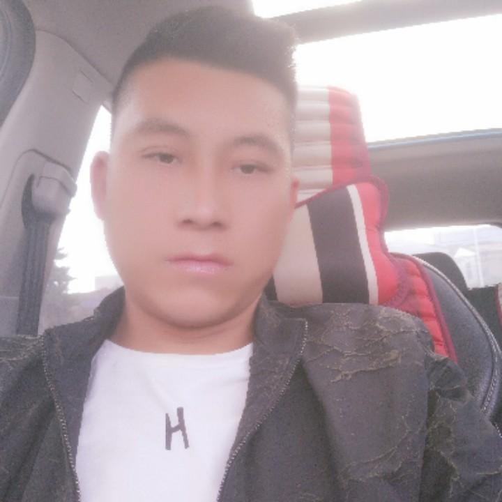 科O240687336