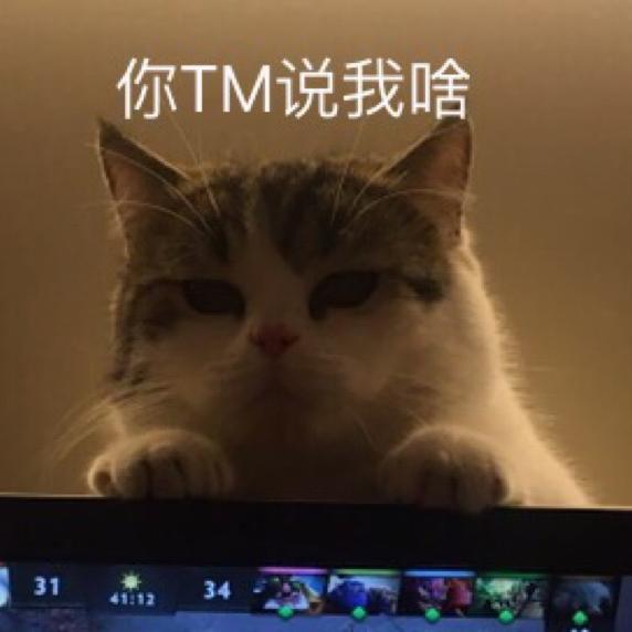 不爱吃建材王总