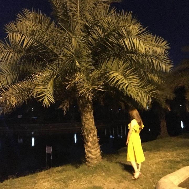 陈陈