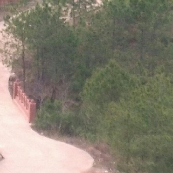 赣南小吃 家乡的味道