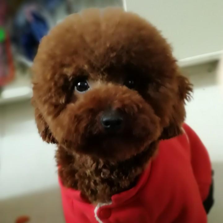军