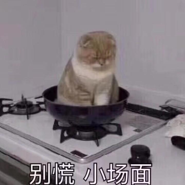 木子☘️