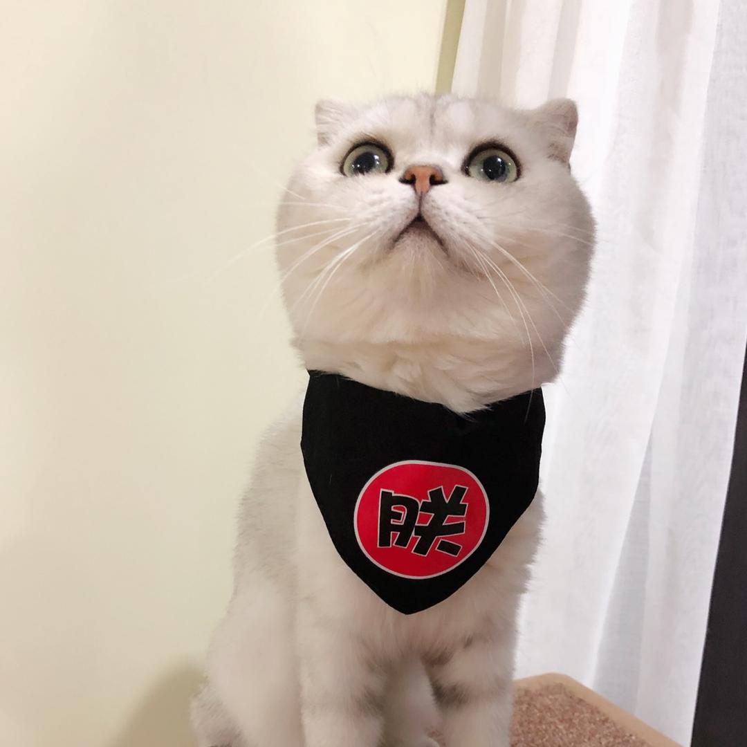 我是呆呆呀～
