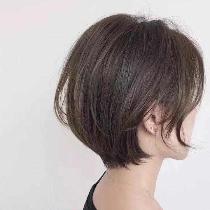 韩风造型燕子