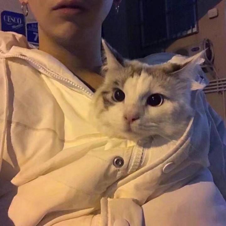 哥哥