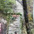 🐾 ღ᭄虞ꦿ🥀࿐⁵²⁰