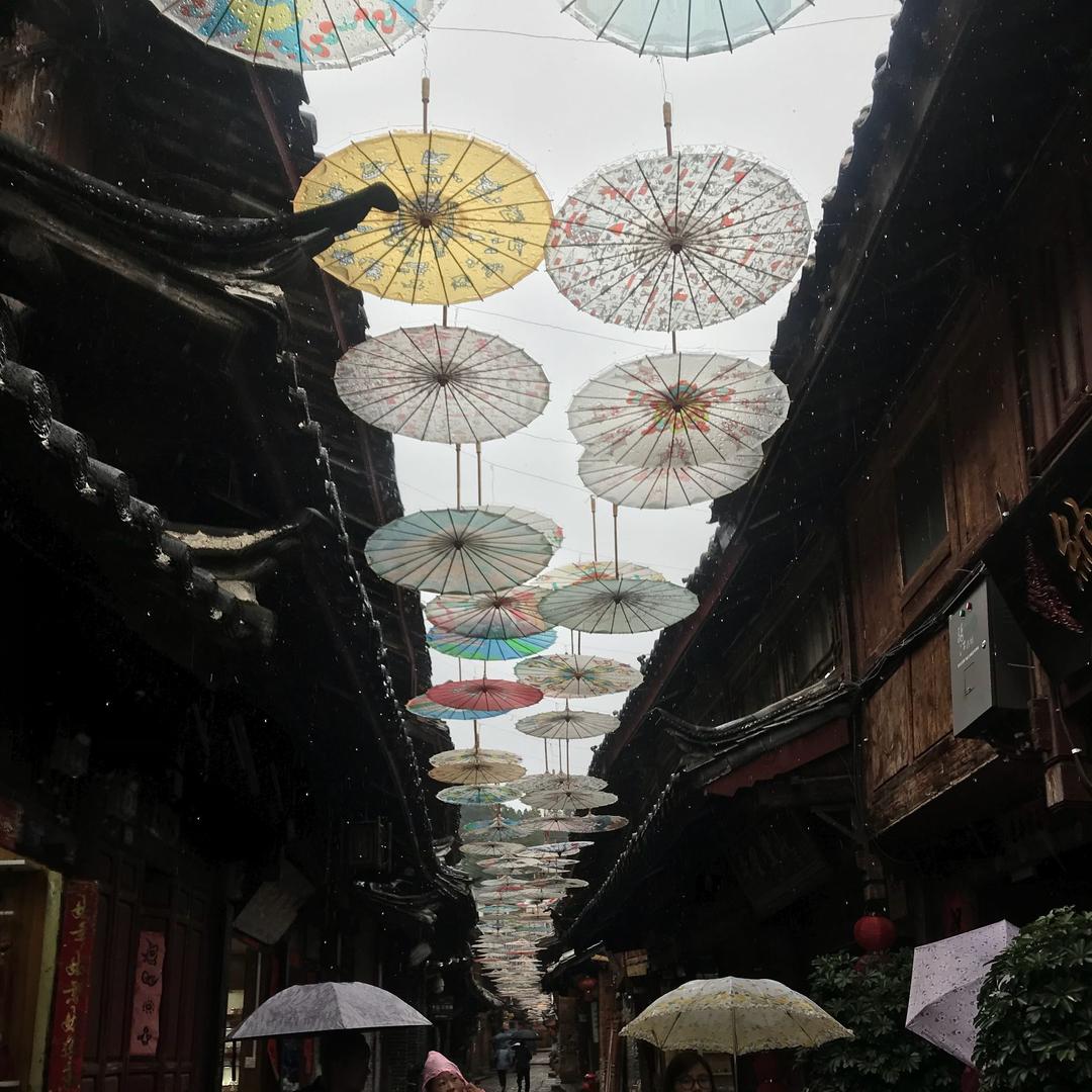 瓜子