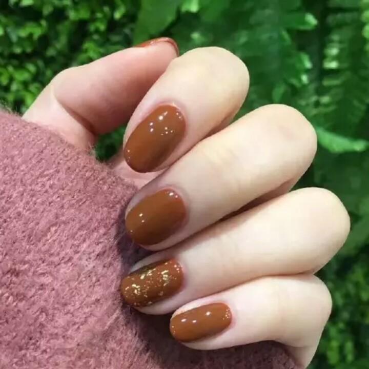 葵葵