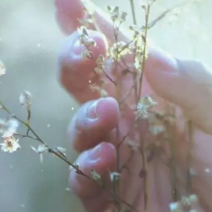 浪花