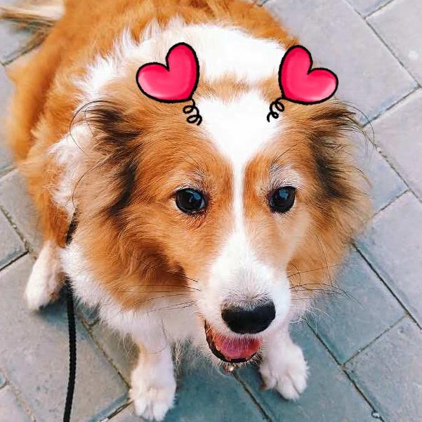 Leona