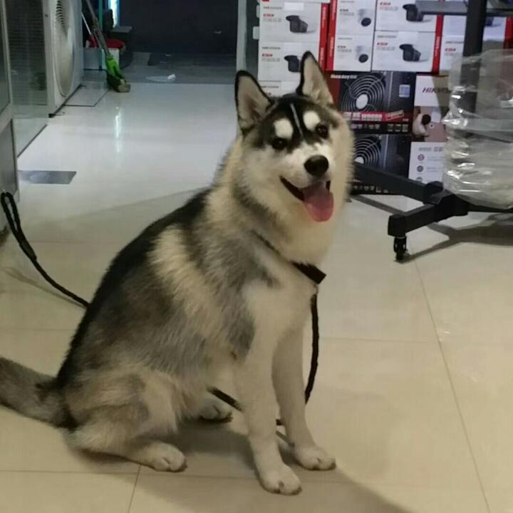 掐指╰つ一算