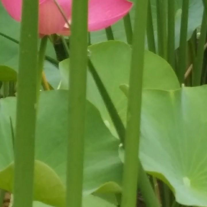 用户280634恒利翔