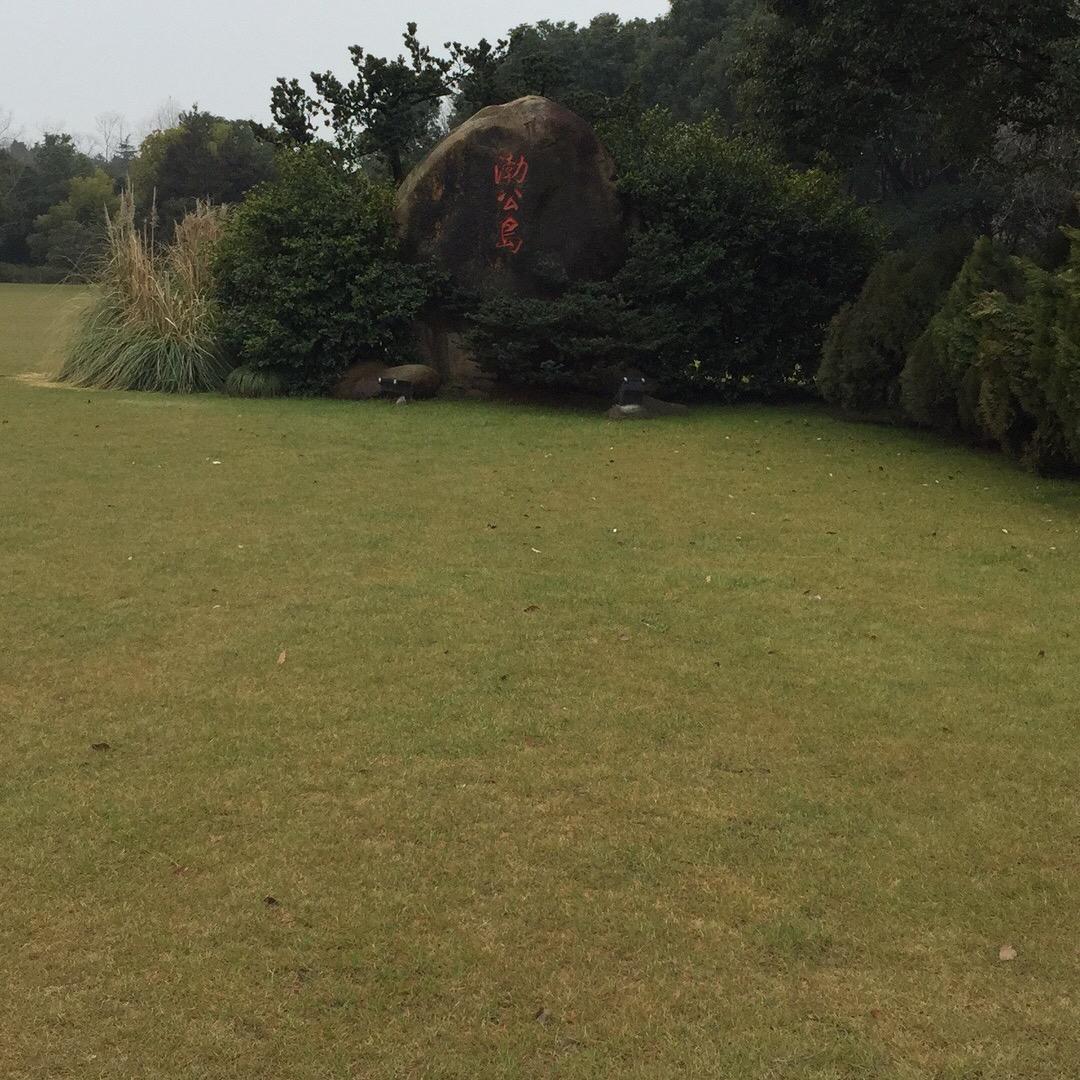 程顺