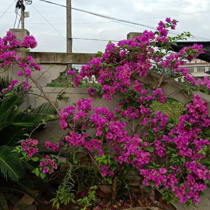 光阴似箭