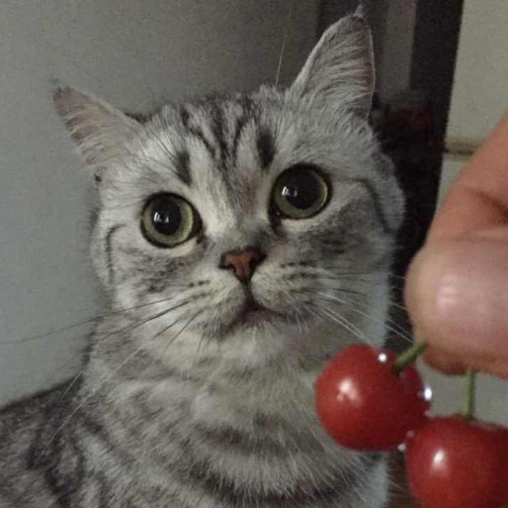 不安静的大叔