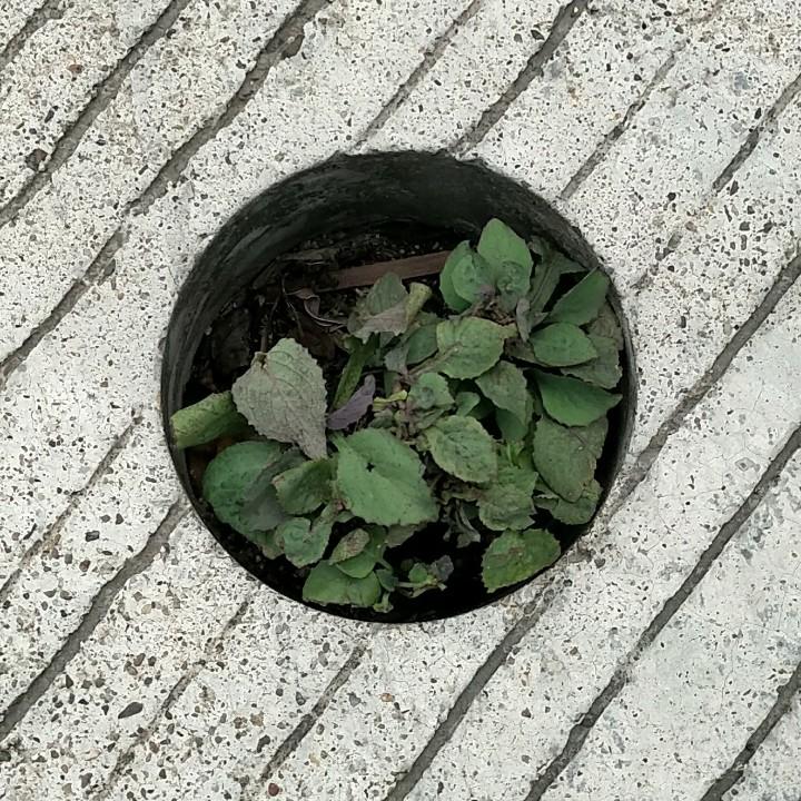 遇上对的就是你