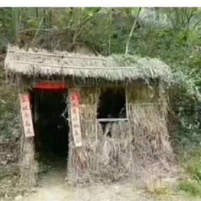 hao护花使者