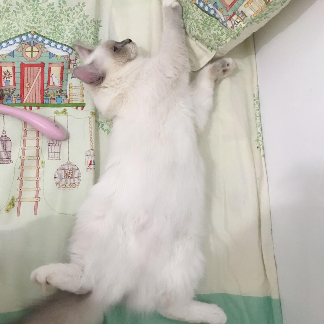 絮絮（种草养花版）