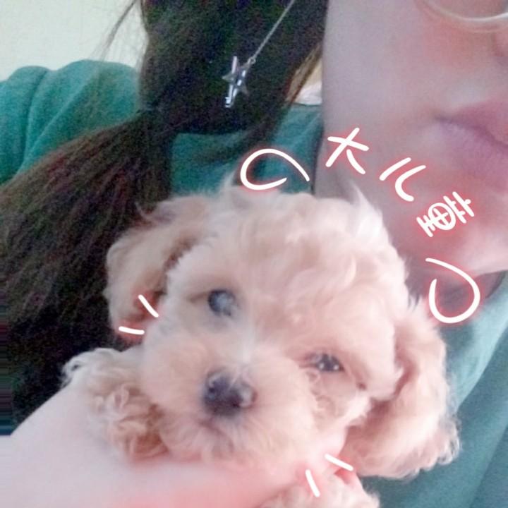 王冬雪