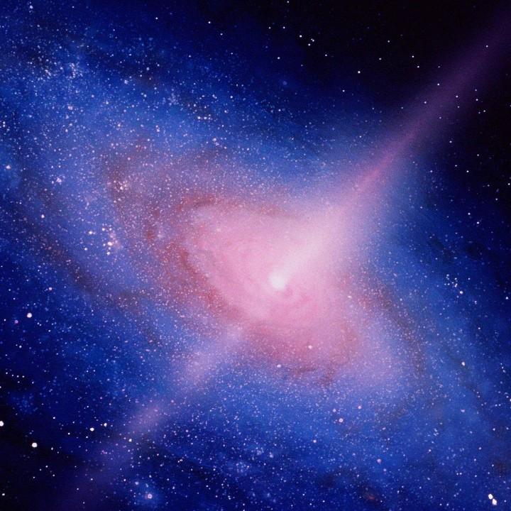 鸟面