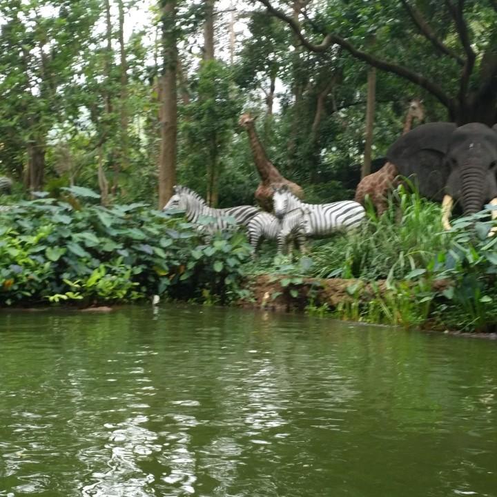 蓦然回首，（拒合拍）