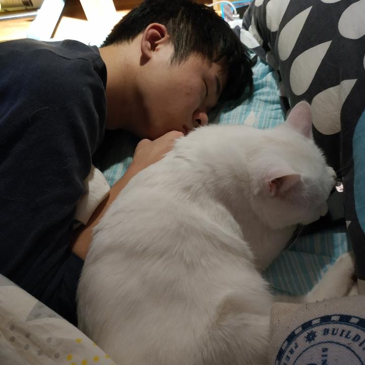 听歌的红鲤鱼