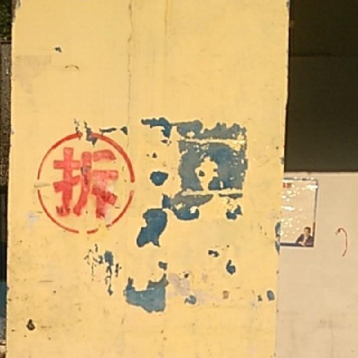 🌸太阳花🌸