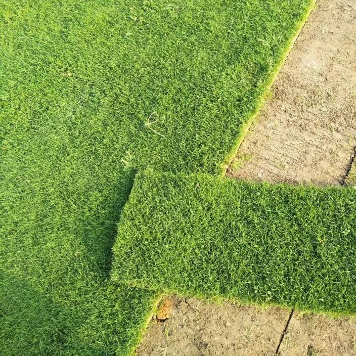 立新园林绿化工程有限公司