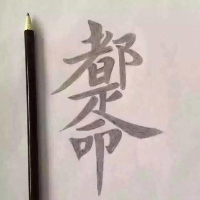 砖家681
