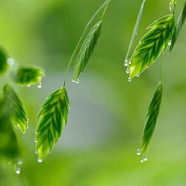 ▓楿約①辈孑★