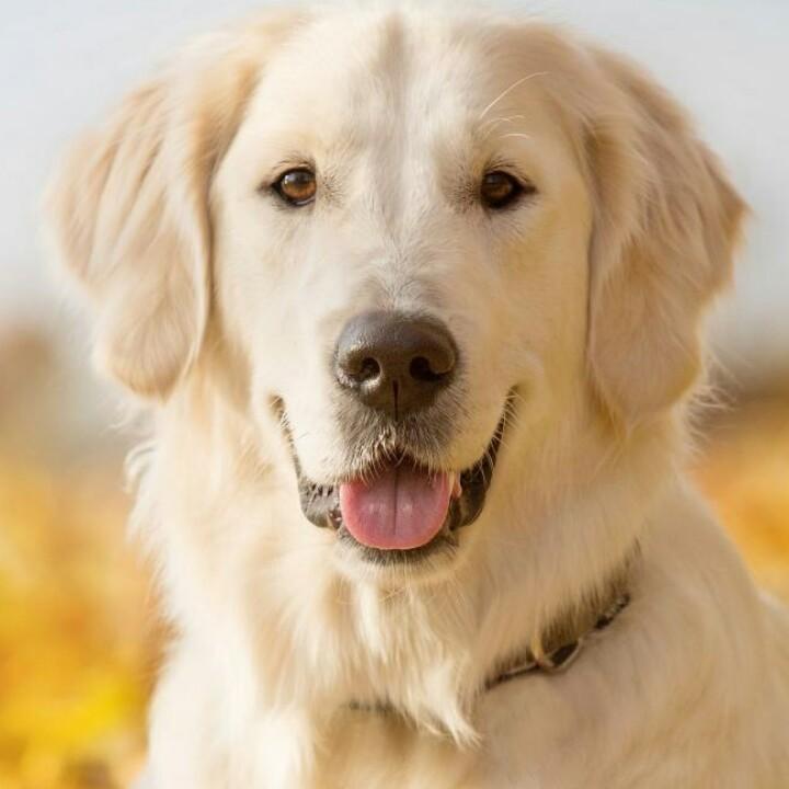 合深