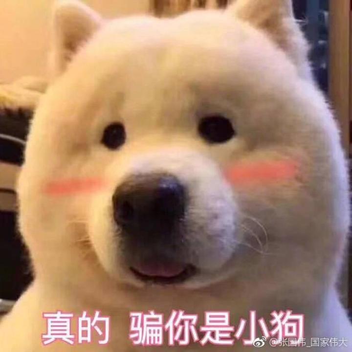 小小妹的鹏鹏哥