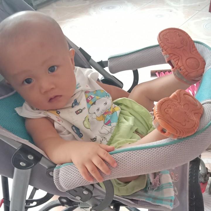 小诺凡