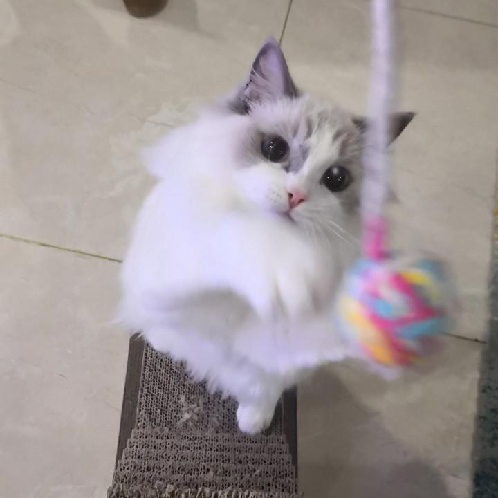 Yi