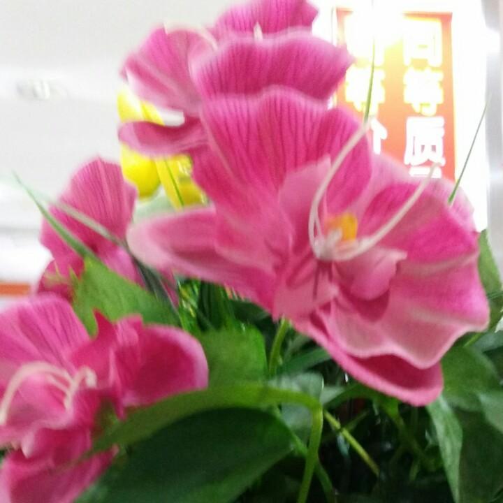 心想事成的橱窗