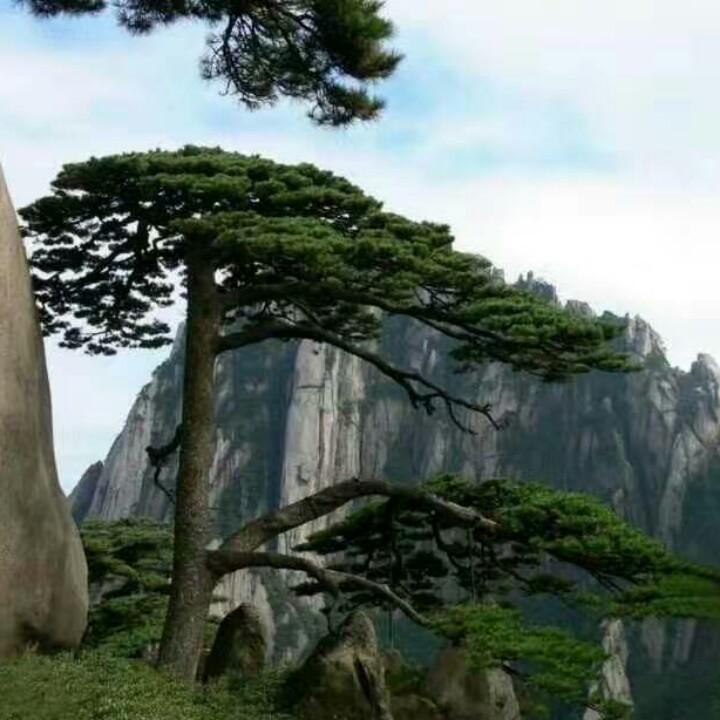 阿明〈发型设计〉