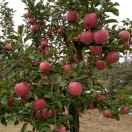 💞淡℘࿐ᩚ定℘࿐ᩚ