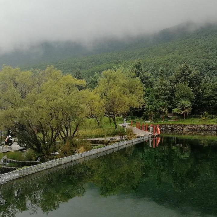 落水清华