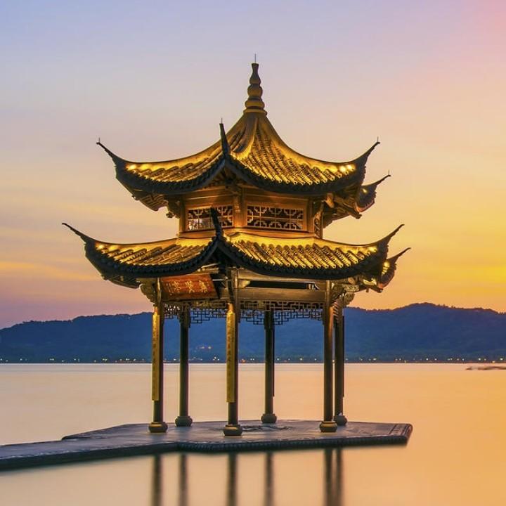 生命科学(爱好者)