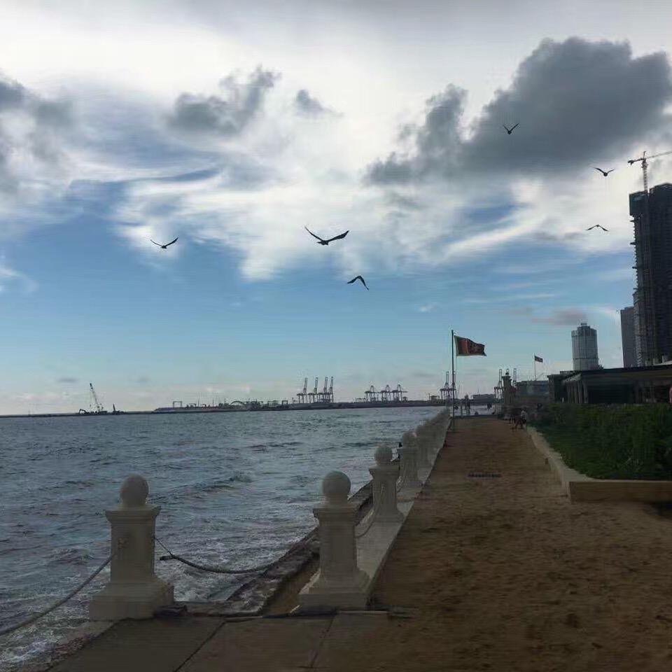 胖小胖