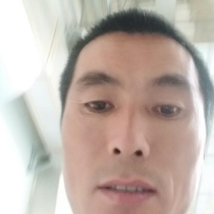 飞龙