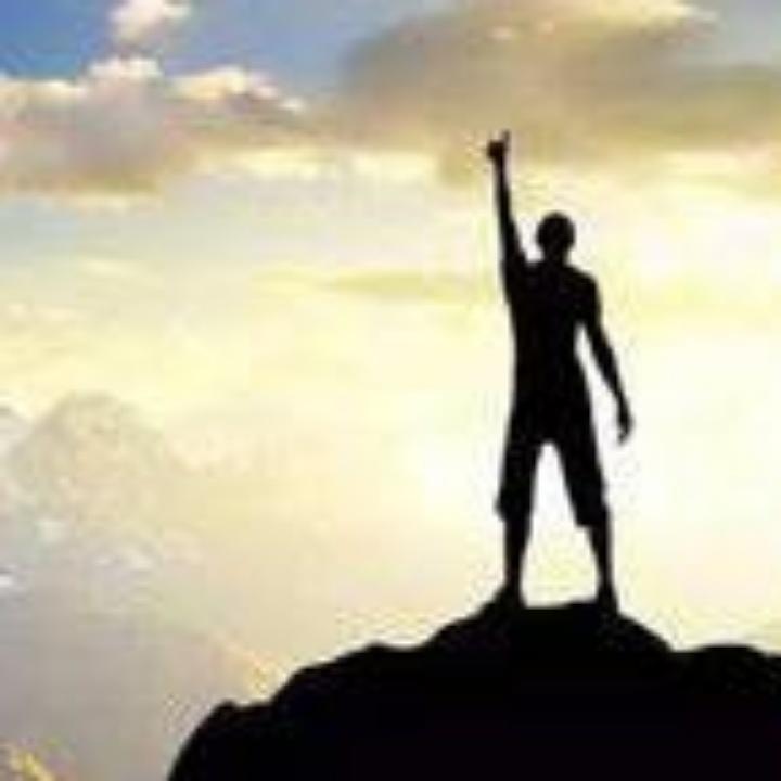 睡在树上的鱼🐠