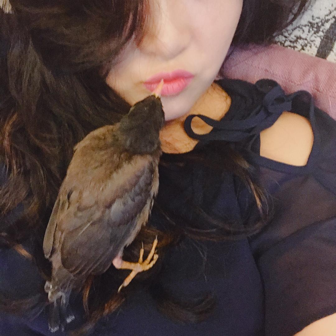 虎小妞