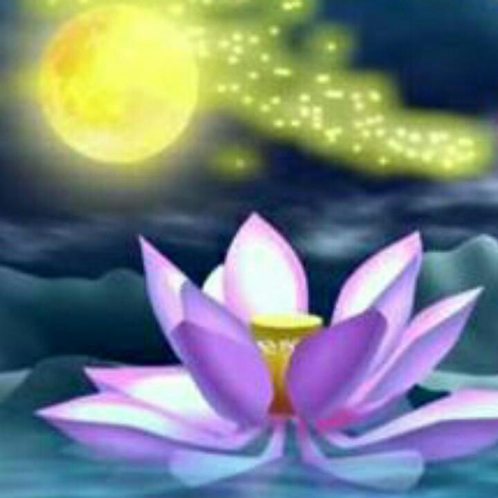 龙七妹