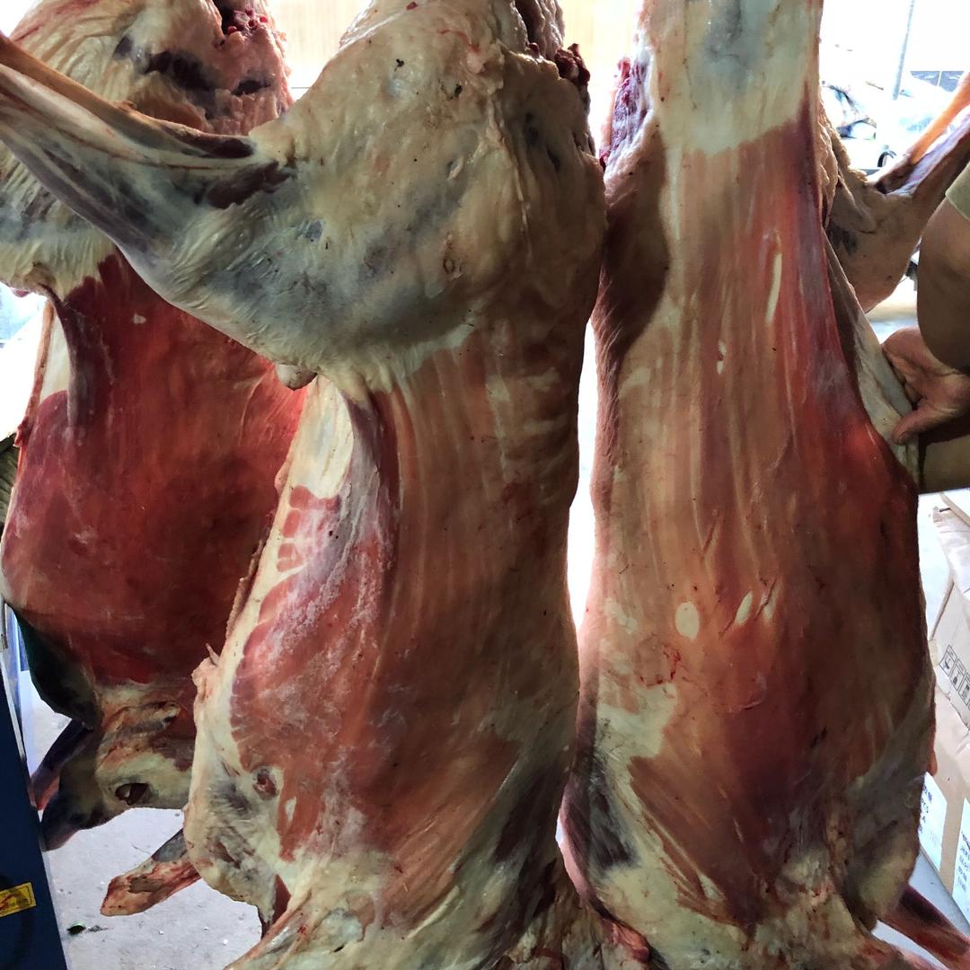 河间市迅洋肉类食品有限公司