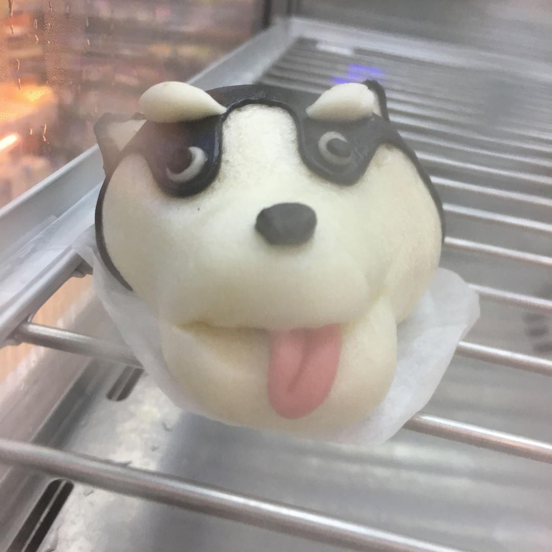 披萨小猫子🍕