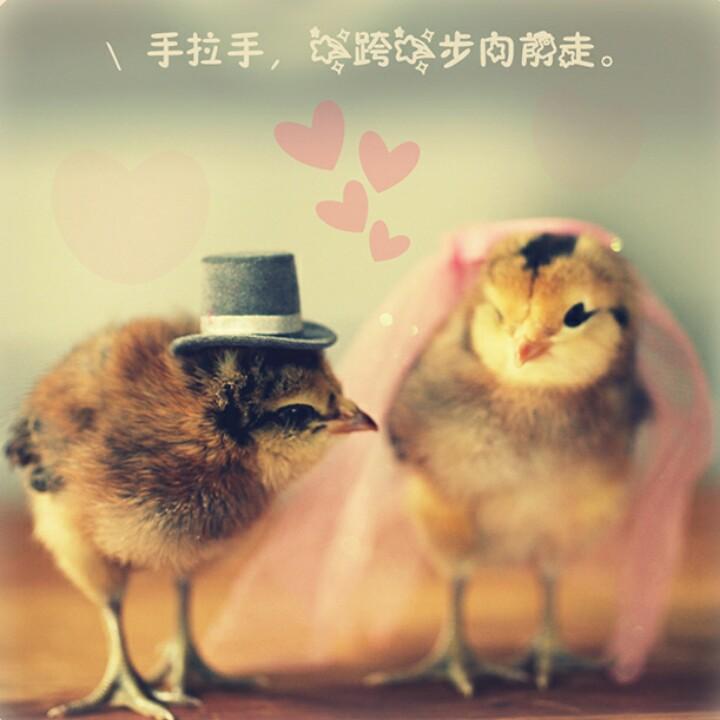 打嗝码头精酿打酒站（麻章店）