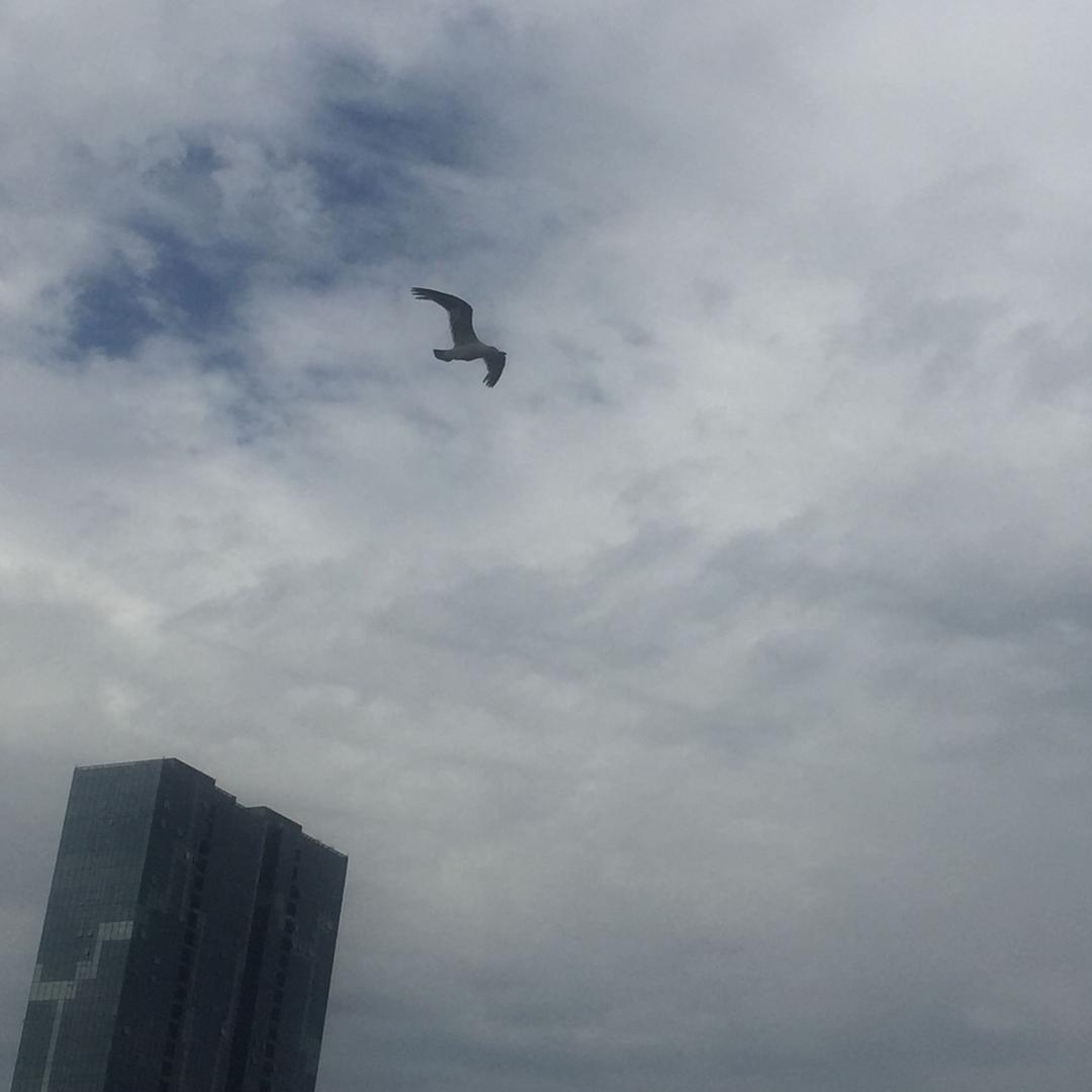 闊少