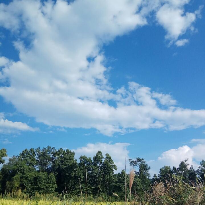 苹果香 香姐 Y💃Y🎤Y?