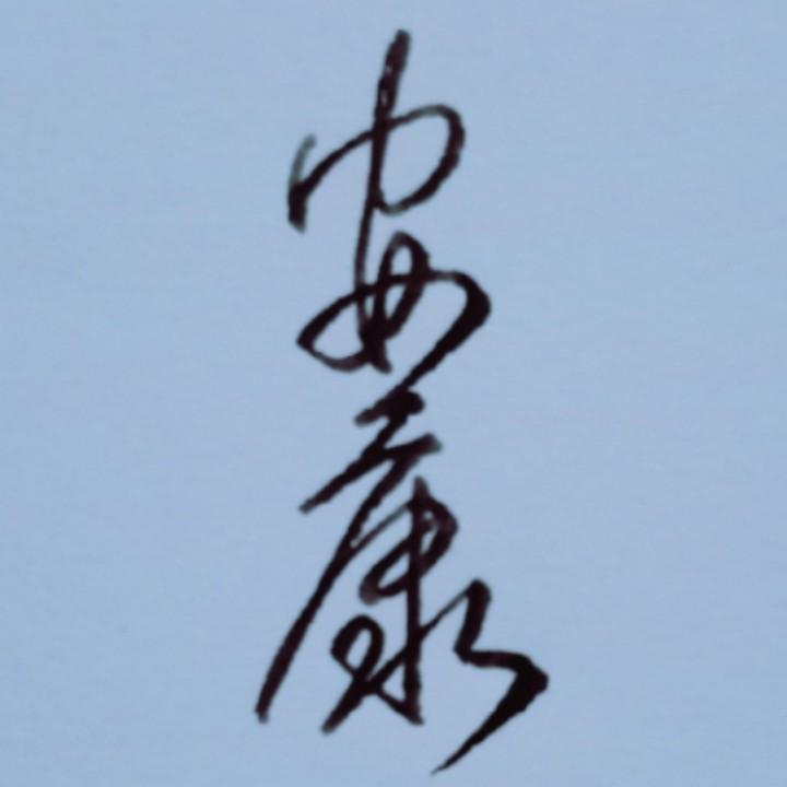 安康帅写